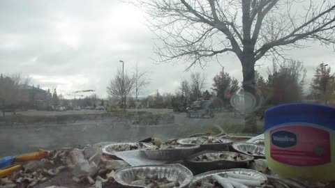 The November Rain Ended Today. 11/18/2025.