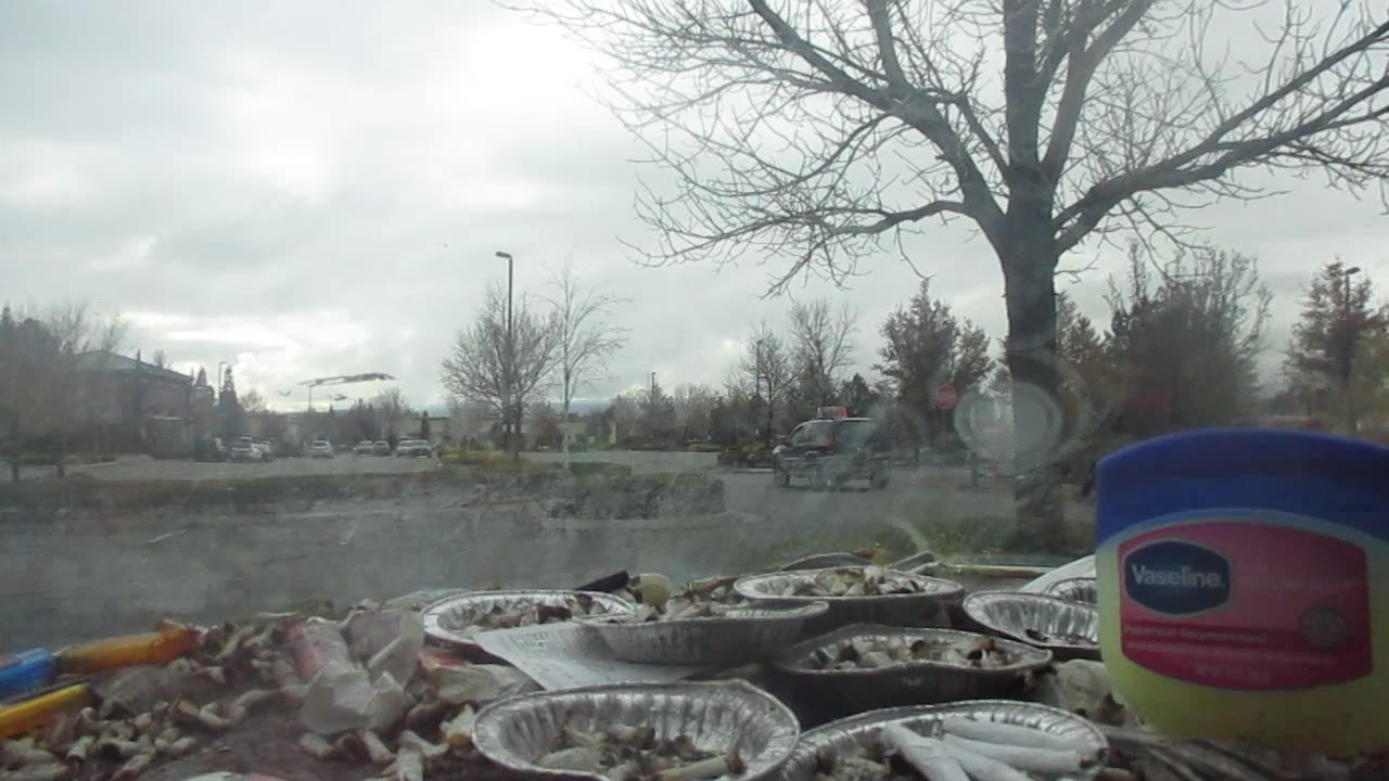 The November Rain Ended Today. 11/18/2025.