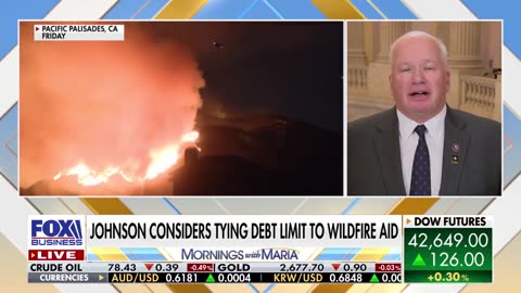 California leadership over wildfires is a 'Complete failure' at gubernatorial, mayoral level