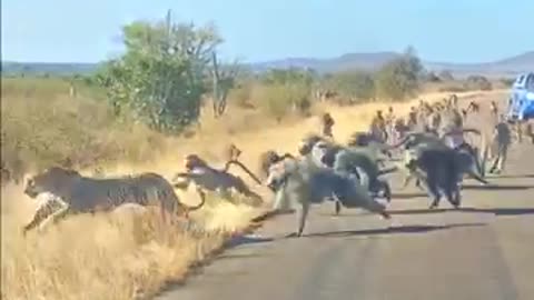 Together Strong
