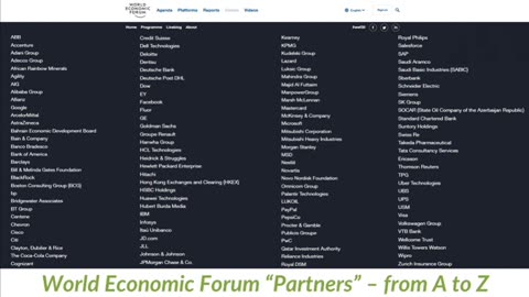 How the World is Really Run | Ivor Cummins