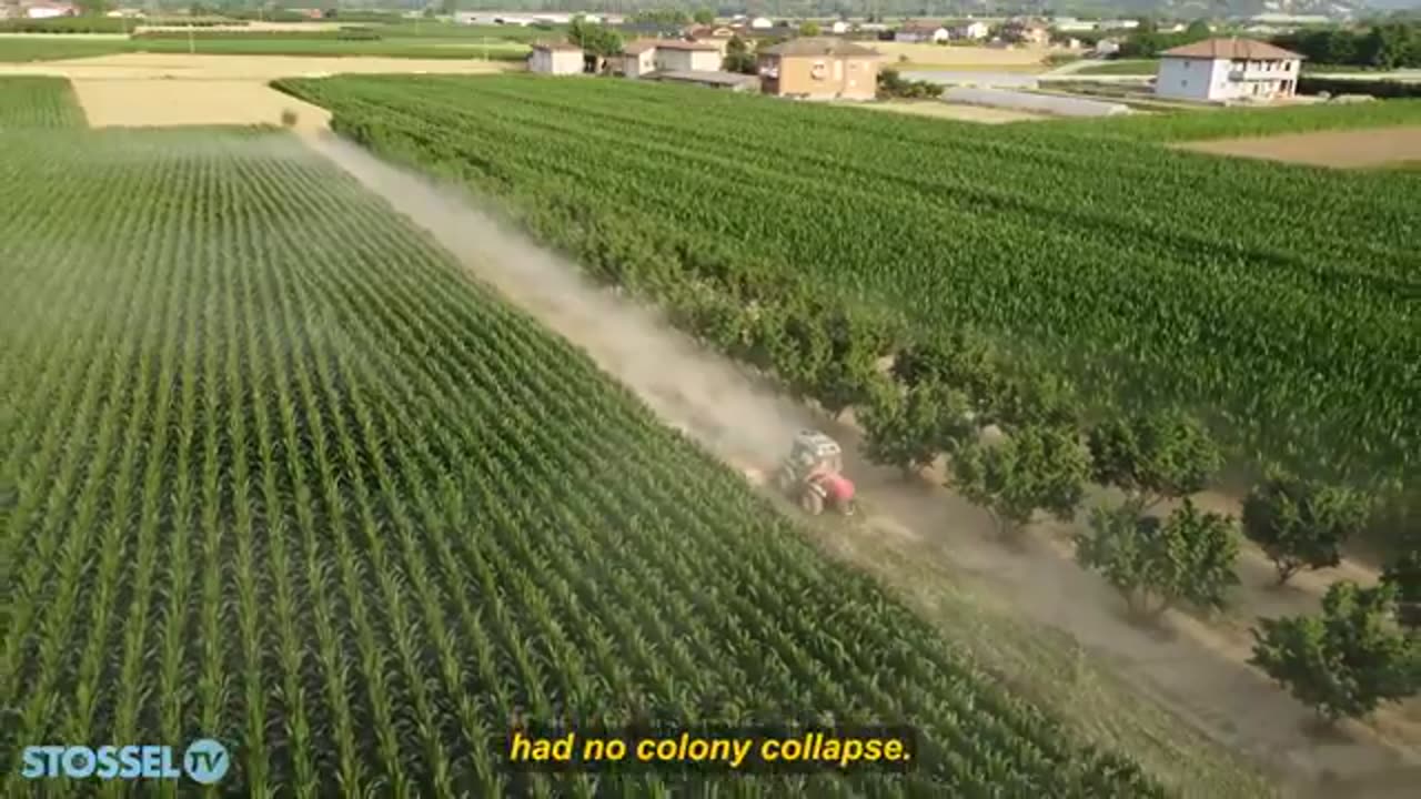 John Stossel: In 2013, Time Magazine predicted “a world without bees.”