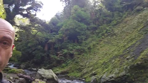 Deer hunting New Zealand
