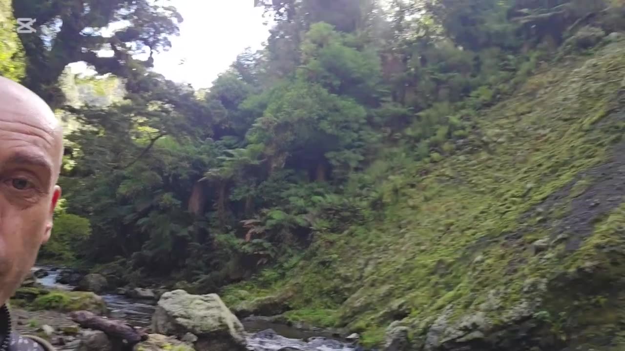 Deer hunting New Zealand