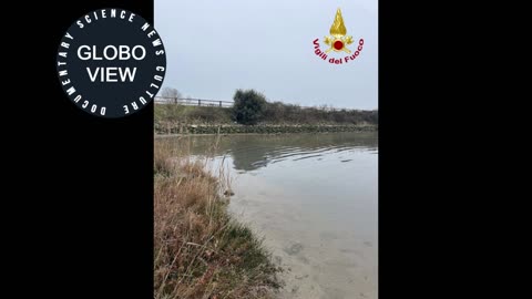 Rescue of a Dolphin Stranded in the Lagoon of Lignano