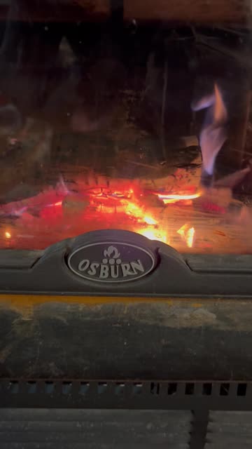 Ozzy Osburn: Firing up the Fireplace for the Snowstorm