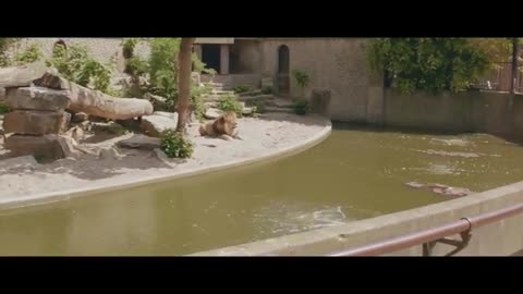 Bone_Clash__2025__New_Full_Action_Hollywood_Movie_Dubbed_In_Hindi_Chinese_Film(360p)