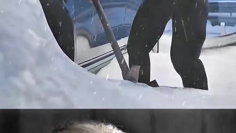 kidney transplant trending video popular video 📸 viral 🆒