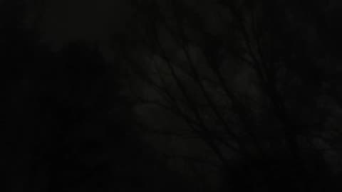 New Years Day Royal Blue MURDER A 17 Year Old Girl 5