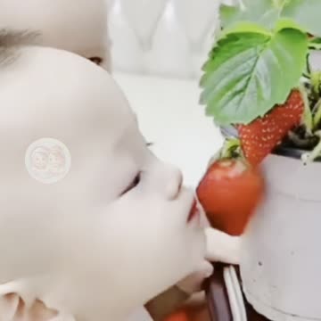 Adorable Babies Bringing the Laughter! 😂😂😂