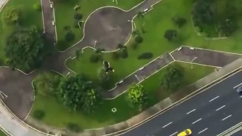 🤯😲 Adrenaline Junkies Are Insane! | FeedMyCuriosity