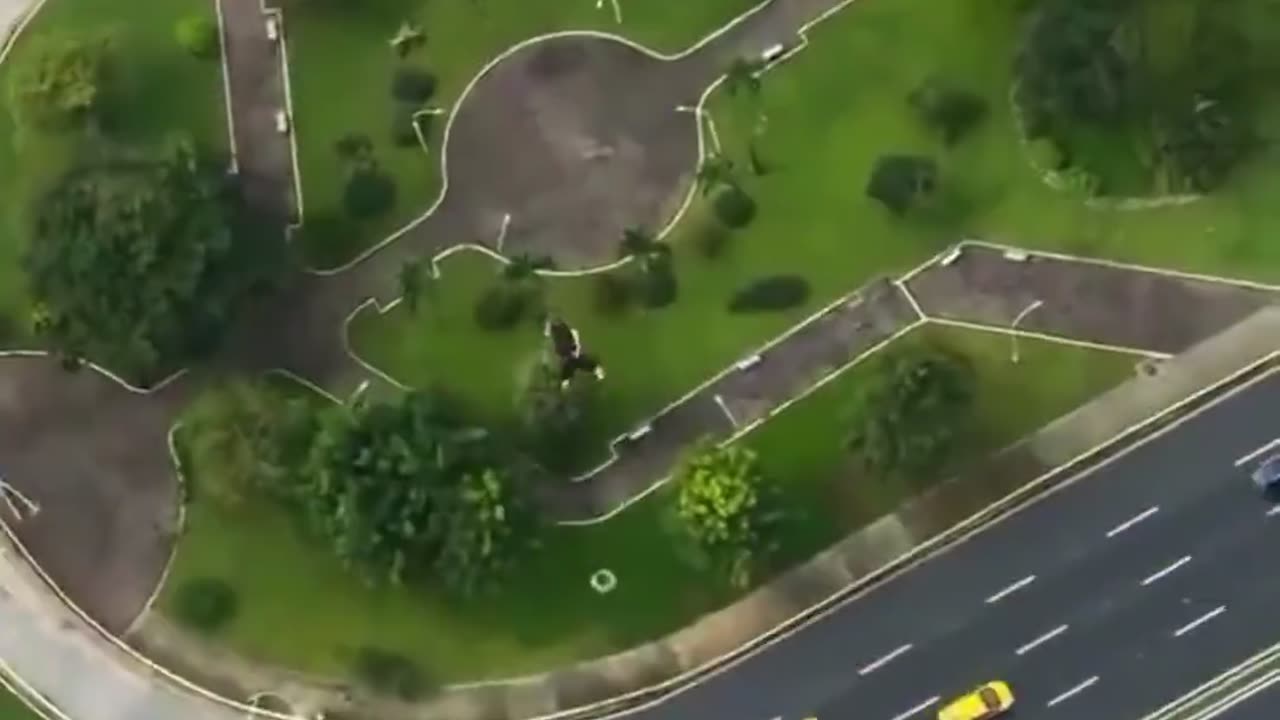 🤯😲 Adrenaline Junkies Are Insane! | FeedMyCuriosity