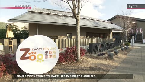 Japan's zoos strive to make life easier for animals