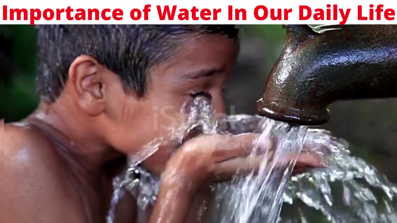 Importance of Water In Our Daily Life