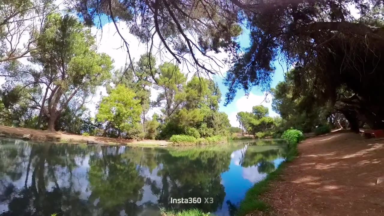 DEBS PARK TRAIL TO THE POND