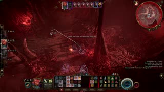 Baldur's Gate 3(Good)-Down Into The Meat Pit