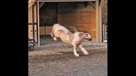 Return from Hill Kiss Energy