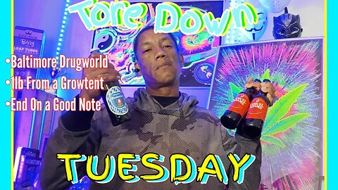 Toredown Tuesdays: Drugs, Money & Crime