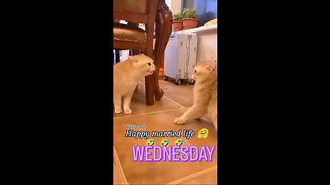 funny