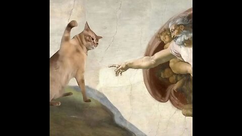 Cats Gettin' the Finger