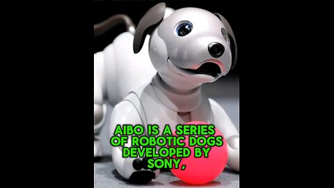 Aibo robots