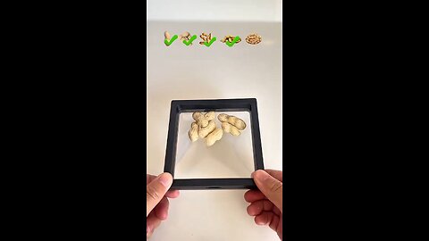 peanut🥜Can it fit