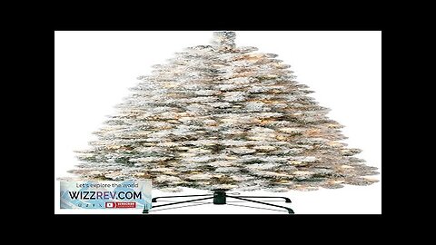 National Tree Company First Traditions Pre-Lit Acacia Flocked Tree Medium Christmas Tree Review