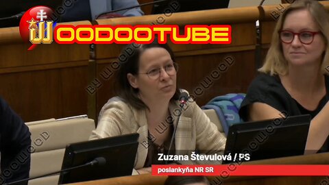 Budú mať poslanci 5 hodinovú obednú prestávku v parlamente? Navrhuje progresívna Števulová 😁