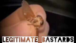 Don’t mind me. Just feeding my garden spider