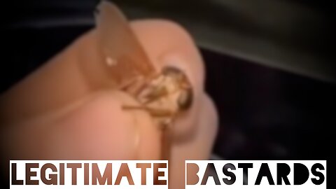 Don’t mind me. Just feeding my garden spider