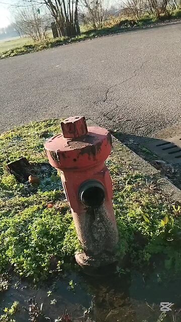 che succede a Magenta?