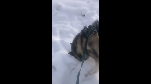 Tuesday December 2, The cost of being a disciple.