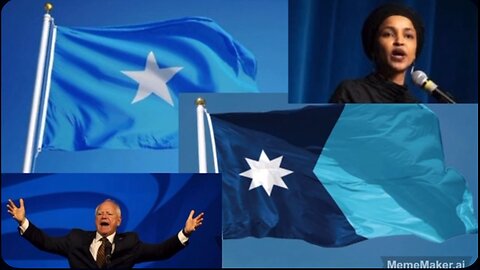 Democrat attempts to defend Somali fraud, gets ratioed under own post