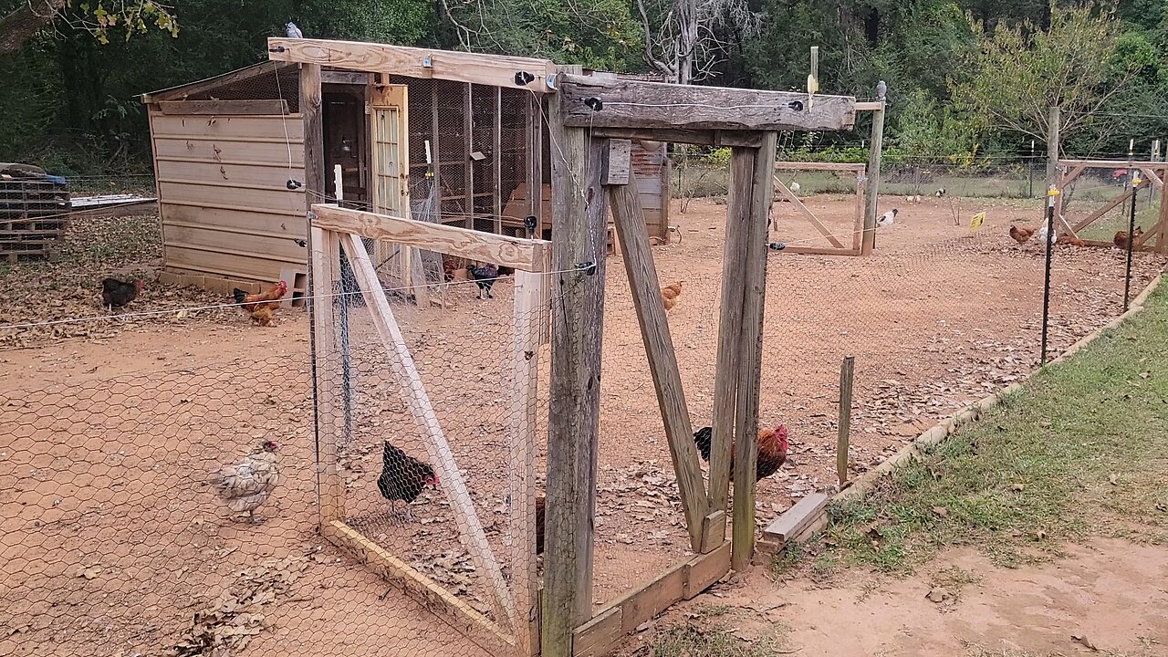 How I keep my chickens and other animals warm during the winter.