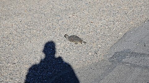 Can you BELIEVE WHAT you'll SEE on the MEAN STREETS of East Las? Check THIS out! #follow #gaming