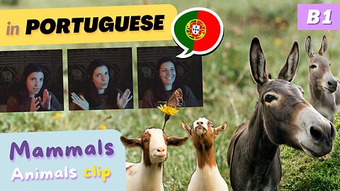 Mammals in the Countryside (clip) | B1 European Portuguese with comprehensible input