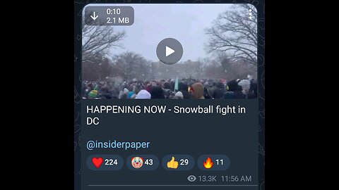 Documentary: Snowball Fight in Washington D.C.