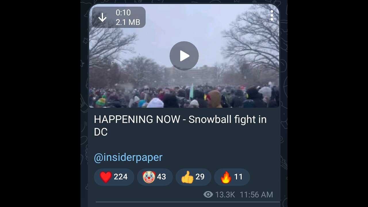 Documentary: Snowball Fight in Washington D.C.