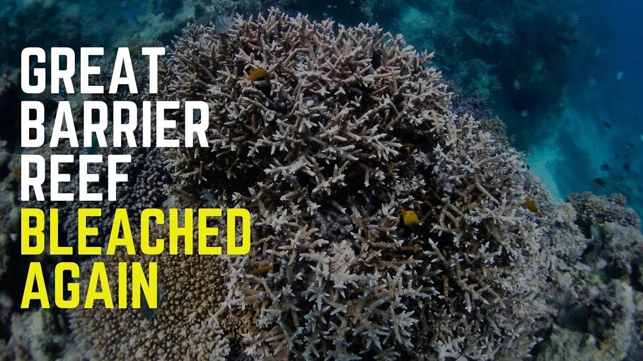 Catastrophic Coral Bleaching? - Devil Humans - Strange Blobs In The Mantle - Giant Glacial Feature