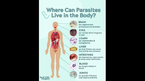 This is why history keeps repeating itself… It’s called the Zodiac Cycles FOX NEWS🇺🇸
