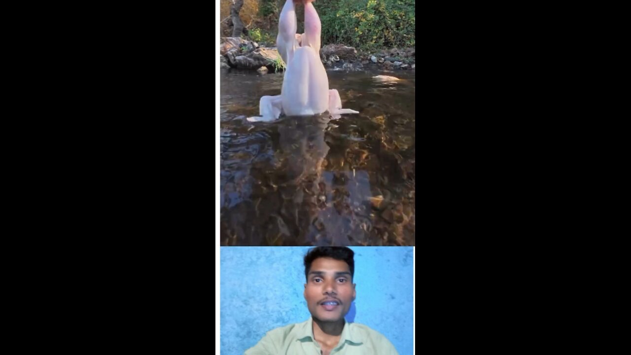 Chicken tandoori in Forest, #Reaction #ReactionVideo #FirstTimeReaction #CrazyReaction #ViralReactio