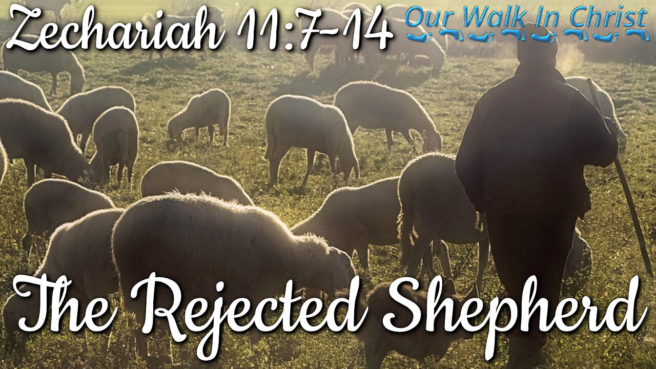 The Rejected Shepherd | Zechariah 11:7-14
