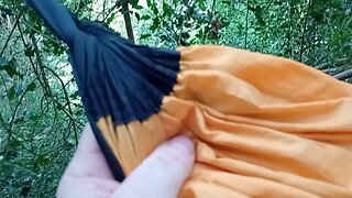06, periodic , check up , hammock, #2025,