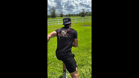 Getting whipped by an iguana