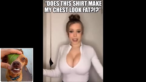 Memes That Will 99.0585% Make You Laugh. (e809)