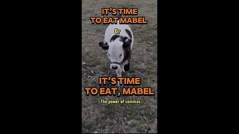 “One Comma Changes Everything 😂 | Farm Humor”