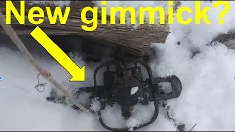 Are coilspring traps a gimmic? | Racoon trapping