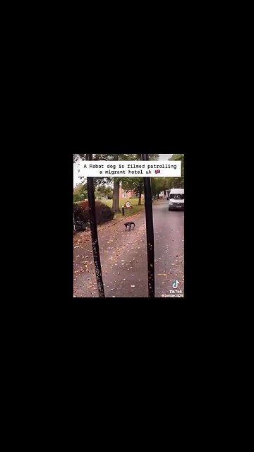 Robot Dog Patrolling Illegal Migrant Hotel in the UK