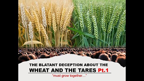 01-04-25 THE BLATANT DECEPTION ABOUT THE WHEAT AND THE TARES Pt.1 By Evangelist Benton Callwood