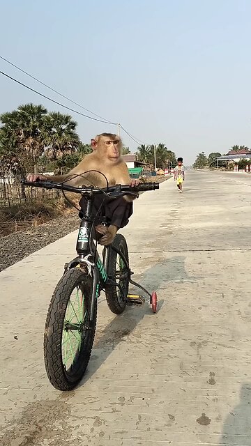 Viral video SokYaa, OG, Pao & Mom Are Famous Around The World #shorts #anime #trend #edit